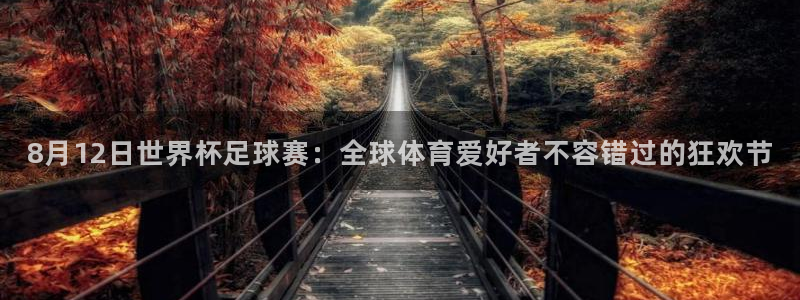 8月12日世界杯足球赛：全球体育爱好者不容错过的狂欢节