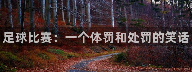  足球比赛：一个体罚和处罚的笑话