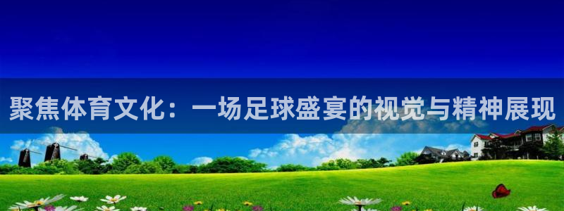  聚焦体育文化：一场足球盛宴的视觉与精神展现