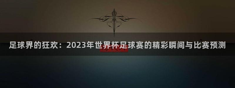  足球界的狂欢：2023年世界杯足球赛的精彩瞬间与比赛预测