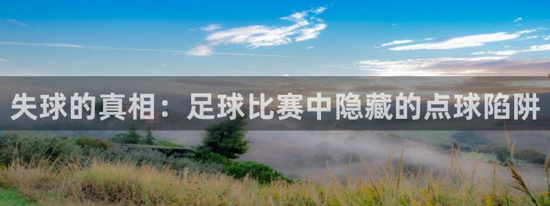 失球的真相：足球比赛中隐藏的点球陷阱