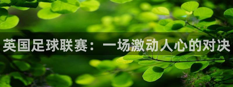 英国足球联赛：一场激动人心的对决