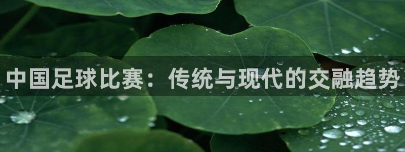 中国足球比赛：传统与现代的交融趋势
