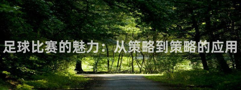 足球比赛的魅力：从策略到策略的应用