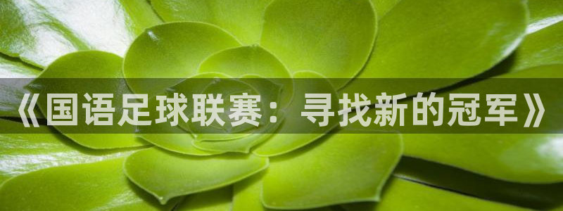 《国语足球联赛：寻找新的冠军》