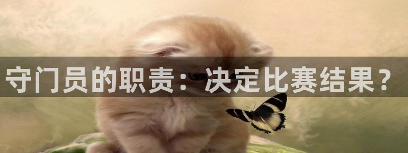 守门员的职责：决定比赛结果？