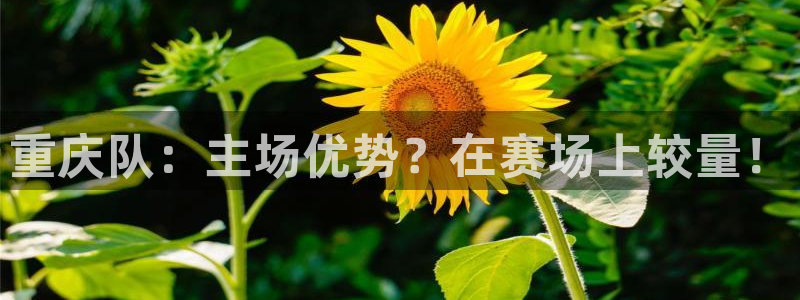  重庆队：主场优势？在赛场上较量！