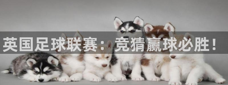 英国足球联赛：竞猜赢球必胜！