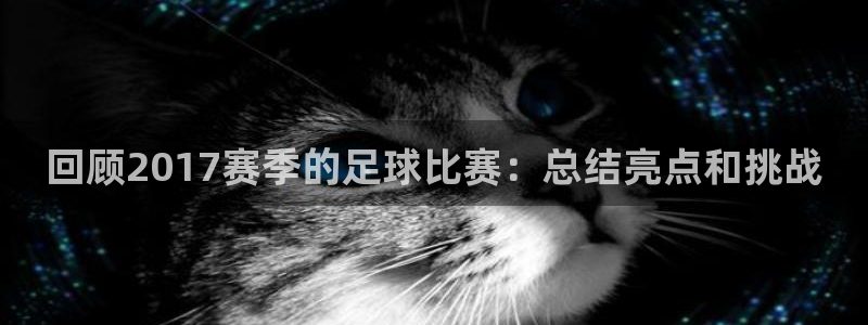 回顾2017赛季的足球比赛：总结亮点和挑战