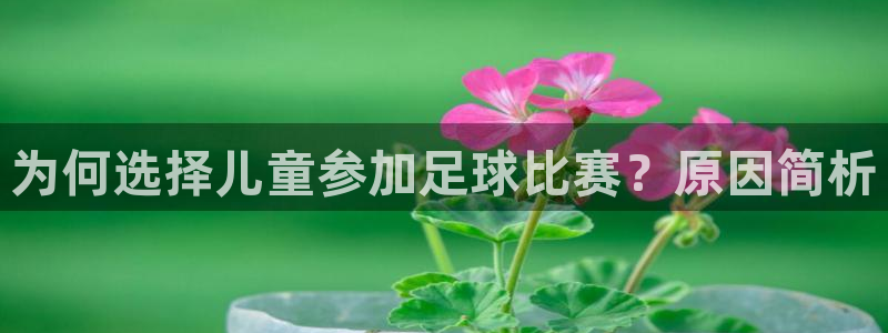 为何选择儿童参加足球比赛？原因简析