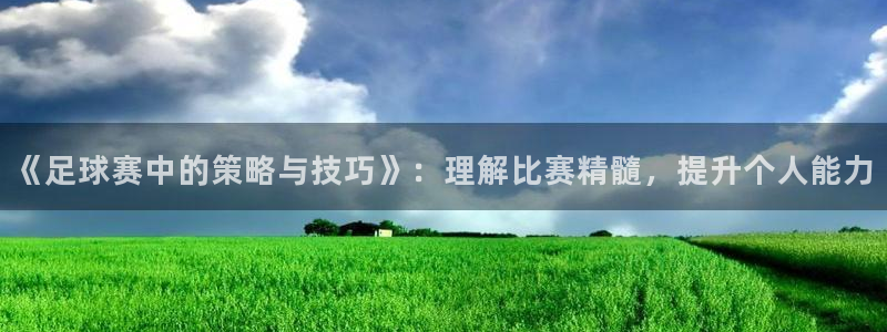《足球赛中的策略与技巧》：理解比赛精髓，提升个人能力