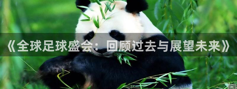 《全球足球盛会：回顾过去与展望未来》