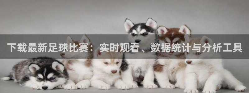 下载最新足球比赛：实时观看、数据统计