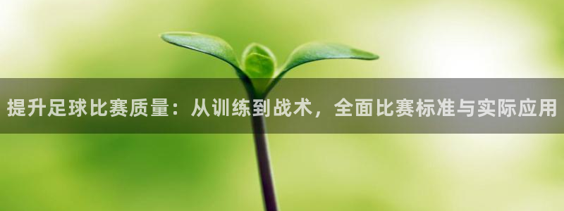 提升足球比赛质量：从训练到战术，全面