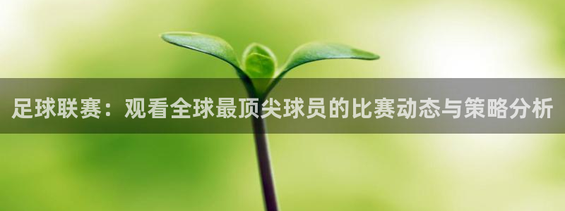 足球联赛：观看全球最顶尖球员的比赛动