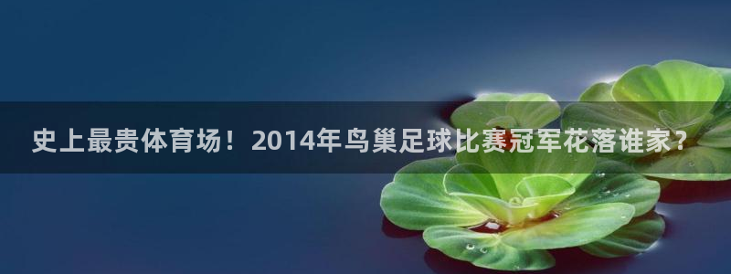 史上最贵体育场！2014年鸟巢足球比