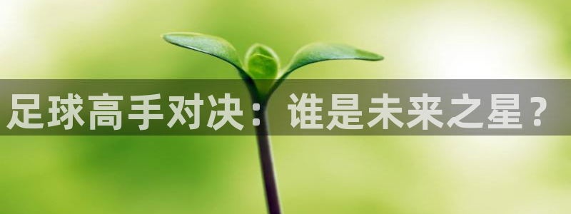 足球高手对决：谁是未来之星？