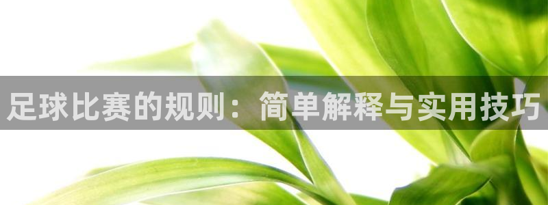 足球比赛的规则：简单解释与实用技巧