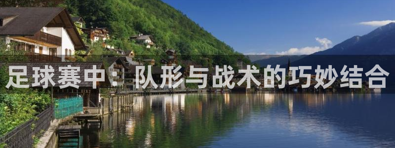 足球赛中：队形与战术的巧妙结合