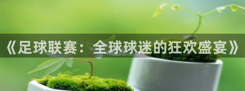 《足球联赛：全球球迷的狂欢盛宴》