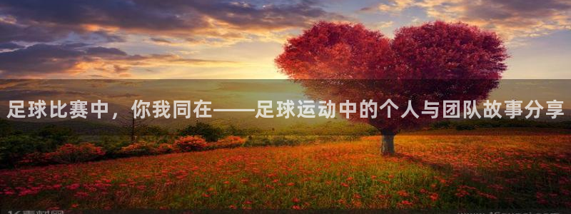 足球比赛中，你我同在——足球运动中的