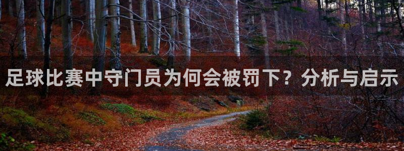 足球比赛中守门员为何会被罚下？分析与