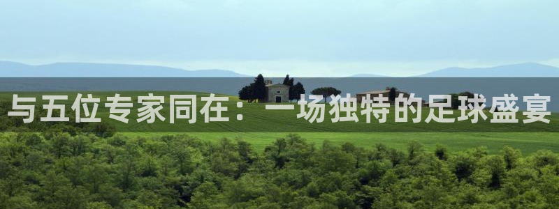  与五位专家同在：一场独特的足球盛宴