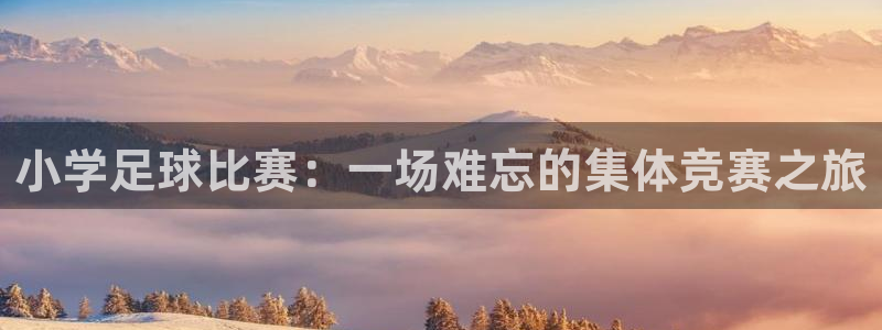  小学足球比赛：一场难忘的集体竞赛之旅