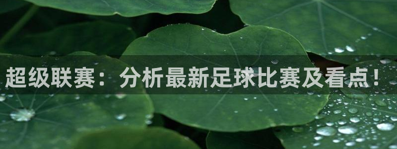  超级联赛：分析最新足球比赛及看点！