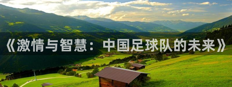  《激情与智慧：中国足球队的未来》
