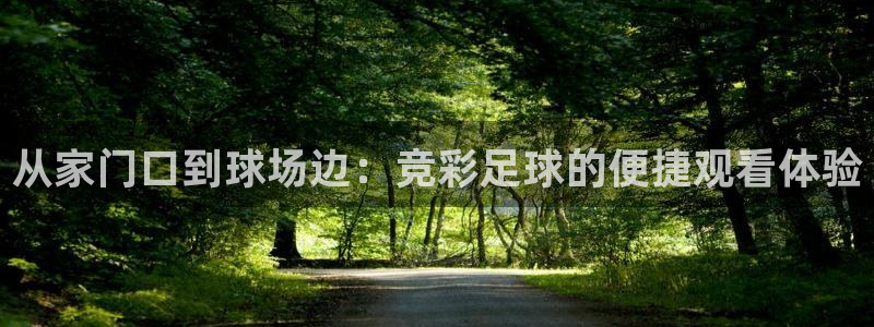  从家门口到球场边：竞彩足球的便捷观看体验