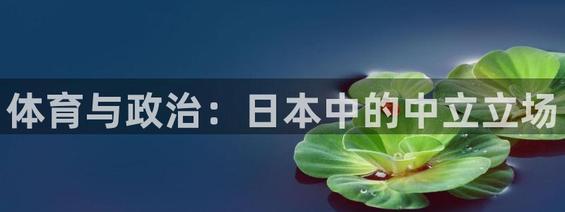 77体育app下载官网
