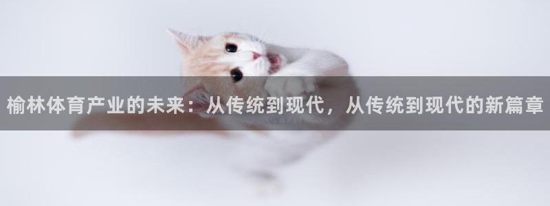 77体育