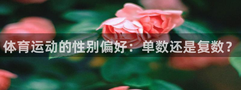 77体育官网