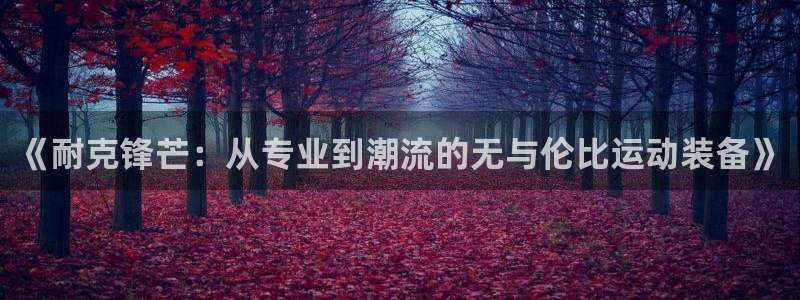 77体育
