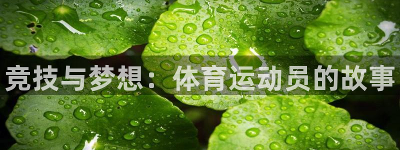 77体育