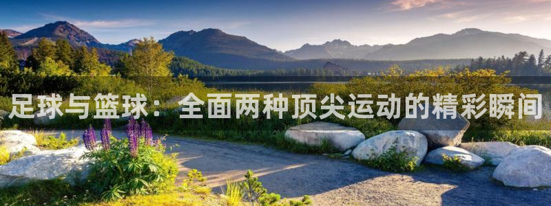 77体育官网