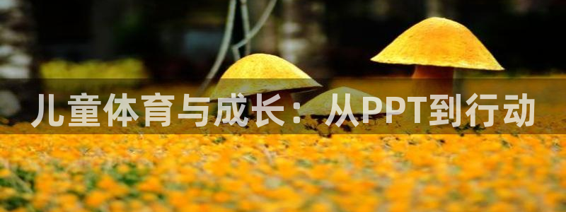 皇冠277体育