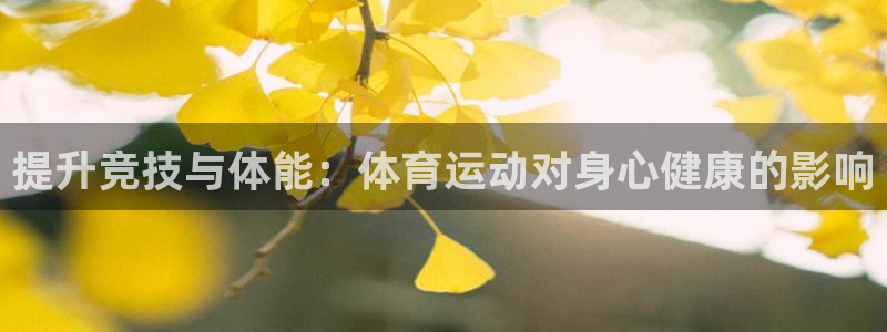 77体育app下载官网
