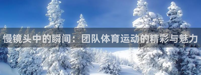 77体育app下载官网