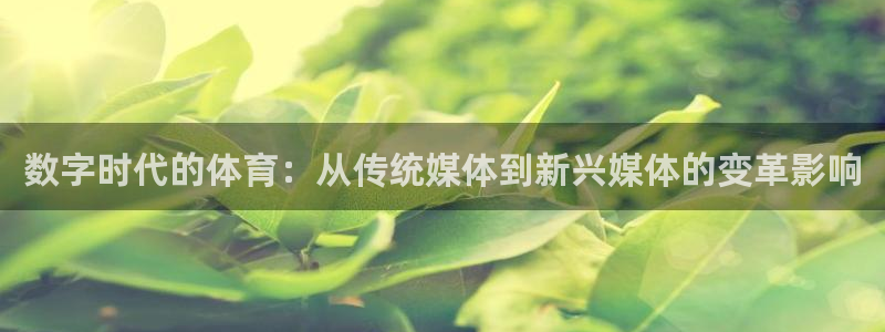 77体育官网